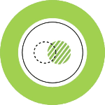 windshield replacement